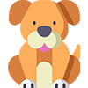 Köpek