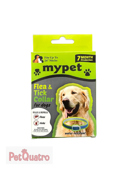 MYPET PİRE TASMASI KÖPEK