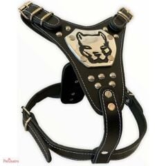 GLADYATÖR DERİ  TASMA