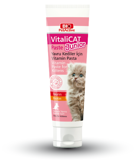 BİO VİTALİCAT JUNİOR PASTE