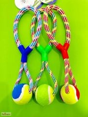 Tenis Toplu Diş İpi