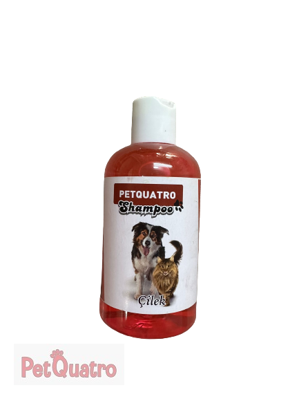 PETQUATRO ÇİLEK AROMALI KEDİ KÖPEK ŞAMPUAN 250ML