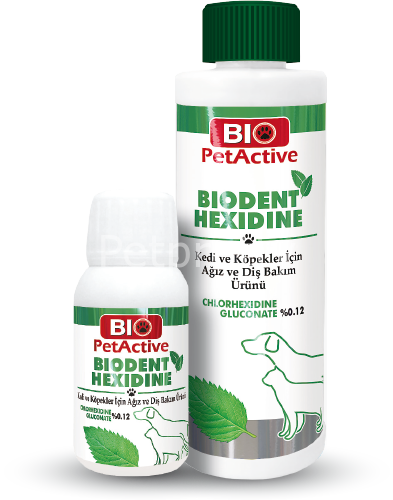 BİO DENTHEXİDİNE AĞIZ BAKIM ÜRÜNÜ 250 ml