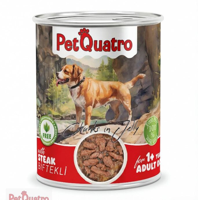 PETQUATRO YETİŞKİN KÖPEK KONSERVE BİFTEKLİ 400GR