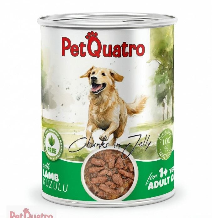 PETQUATRO YETİŞKİN KÖPEK KONSERVE KUZULU 400GR
