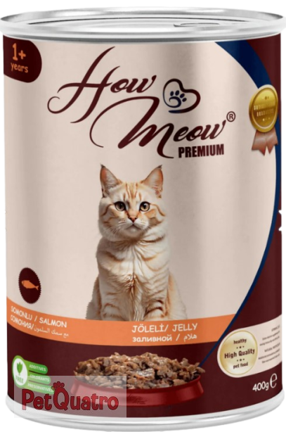 HOWMEOW YETİŞKİN KEDİ KONSERVE SOMONLU 400GR