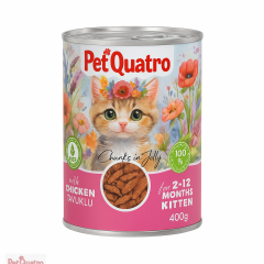 PETQUATRO YAVRU KEDİ KONSERVE 400GR