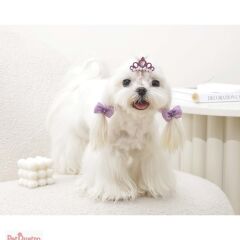 M-PETS GLAM KÖPEKLER İÇİN AKSESUAR TOKA PURPLE