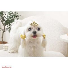 M-PETS GLAM KÖPEKLER İÇİN AKSESUAR TOKA YELLOW