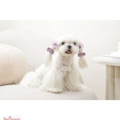 M-PETS GLAM KÖPEKLER İÇİN AKSESUAR TOKA PURPLE