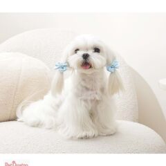 M-PETS GLAM KÖPEKLER İÇİN AKSESUAR TOKA BLUE