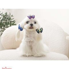 M-PETS GLAM KÖPEKLER İÇİN AKSESUAR TOKA BLUE/PURPL