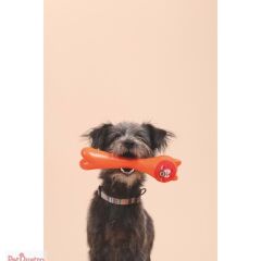 M-PETS ROB ÖDÜL HAZNELİ KAUÇUK KÖPEK OYUNCAĞI ORAN