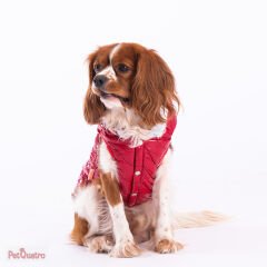 RED LİGHT WAVE VEST