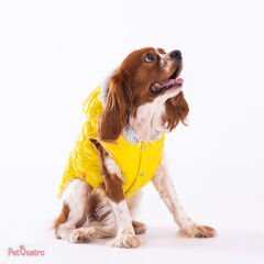 YELLOW LİGHT WAVE VEST