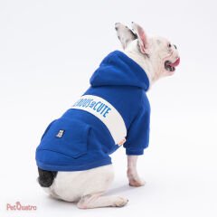 BLUE CUTE HOODİE