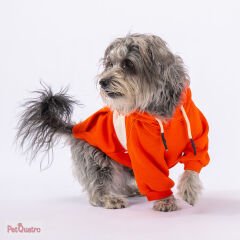 ORANGE CUTE HOODİE