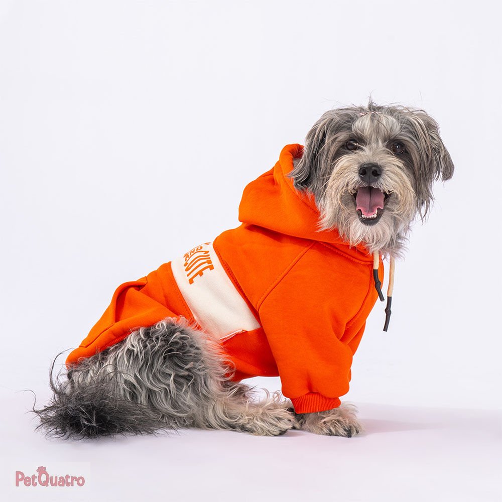 ORANGE CUTE HOODİE