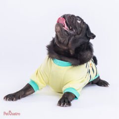 LEMONY DİNO STAR SWEATY