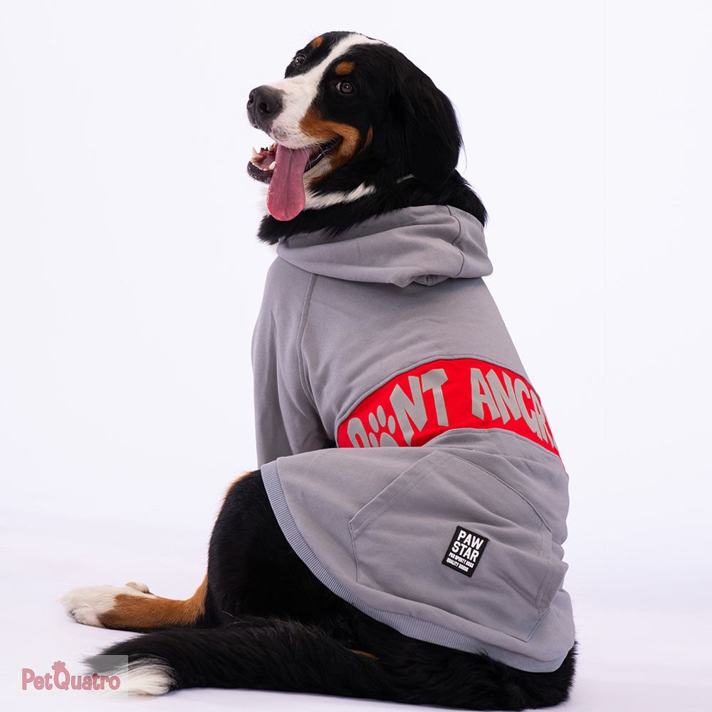 GRİ ANGRY DOG BÜYÜK IRK CEKET