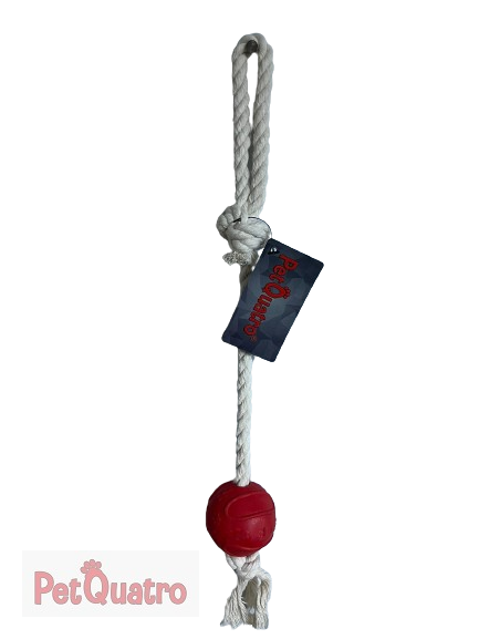 KÜÇÜK TOPLU DİŞ İPİ