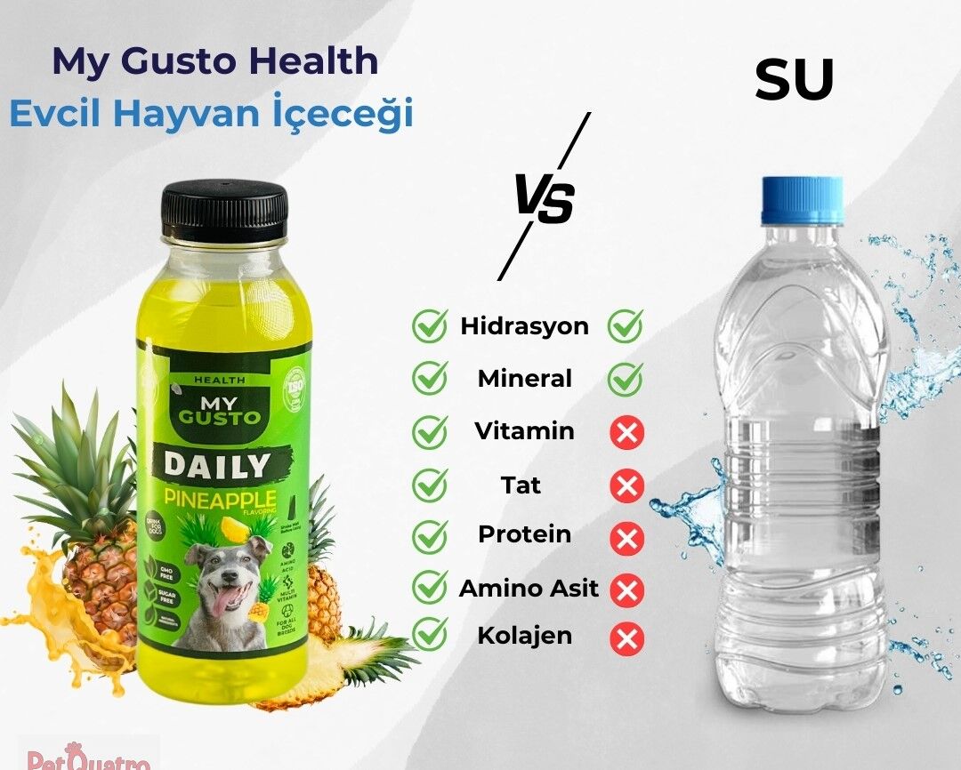 MY GUSTO DOG JUİCE PİNEAPPLE 300 ML