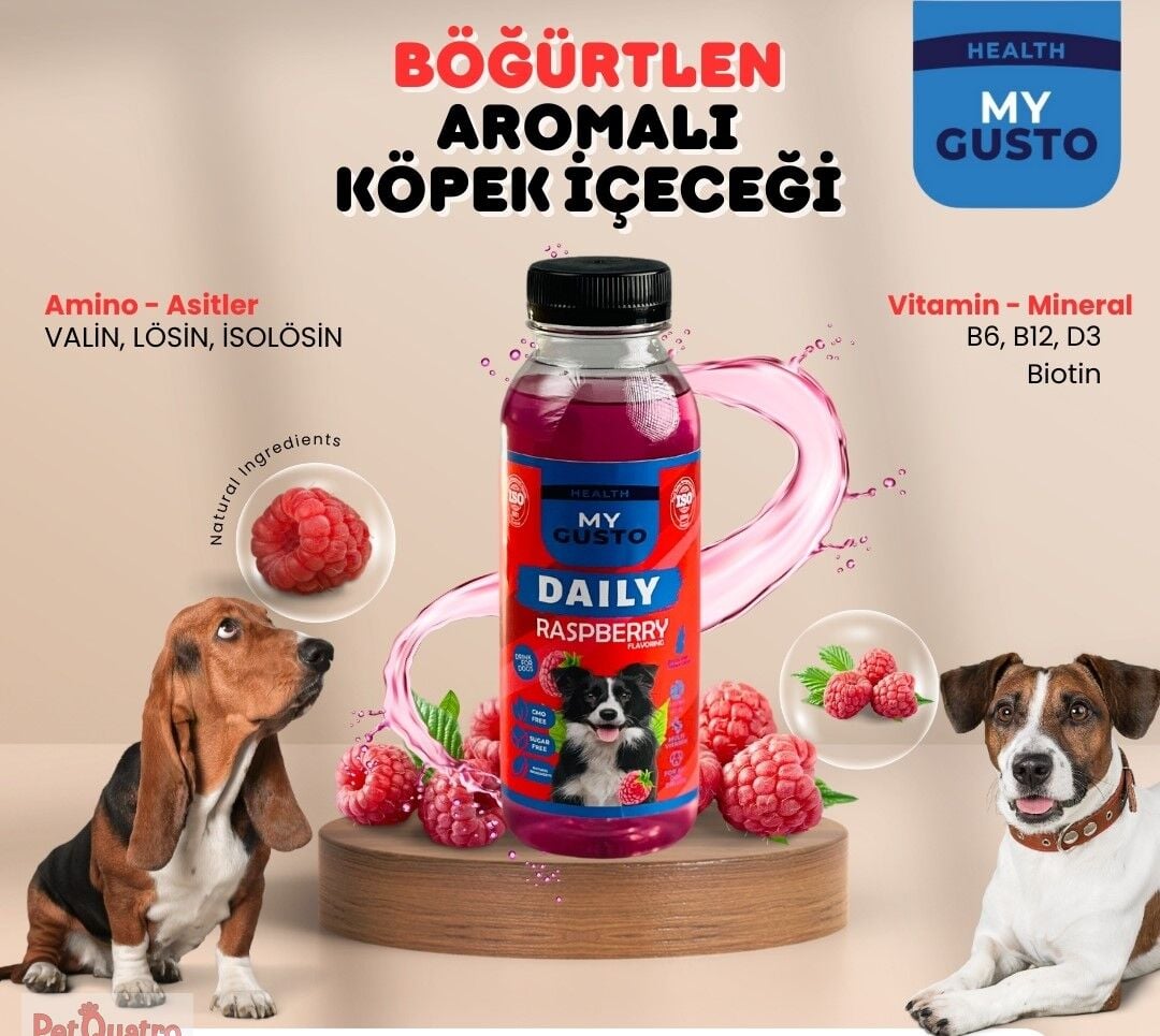 MY GUSTO DOG JUİCE RASPBERRY 300 ML
