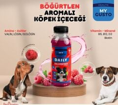 MY GUSTO DOG JUİCE RASPBERRY 300 ML