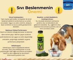 MY GUSTO DOG JUİCE RASPBERRY 300 ML