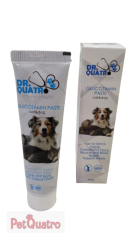 DR QUATRO GLUCOZAMIN PASTE  100 GR