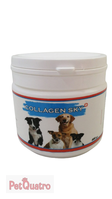 COLLAGEN SKY MULTİVİTAMİN 400 GR