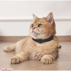 M-PETS KEEP CALM CALMİNG SAKİNLEŞTİCİ KEDİ TASMASI