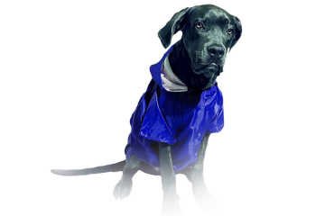DOGTORİN YAĞMURLUK  35 CM