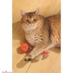 M-PETS CHARMY AMULET MATATABİ OYUNCAK TURUNCU
