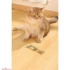 M-PETS CHARMY BRANCY CATNİPLİ OYUNCAK