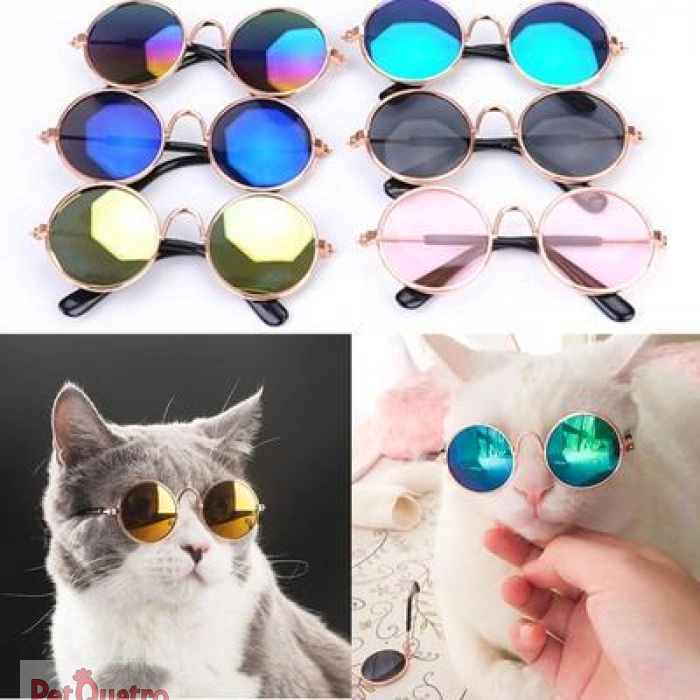 GÖZLÜK