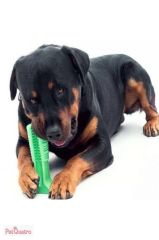 KAUÇUK KÖPEK DİŞ FIRÇASI KÜÇÜK