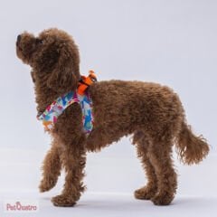 MOSAİC AİR MESH XS