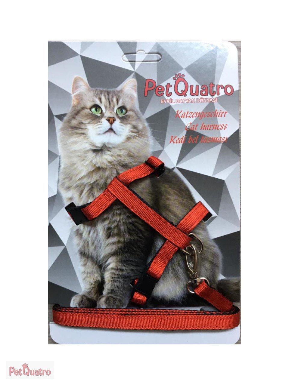 PETQUATRO KEDİ GÖĞÜS TASMASI