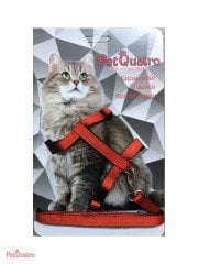 PETQUATRO KEDİ GÖĞÜS TASMASI