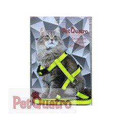PETQUATRO KEDİ GÖĞÜS TASMASI