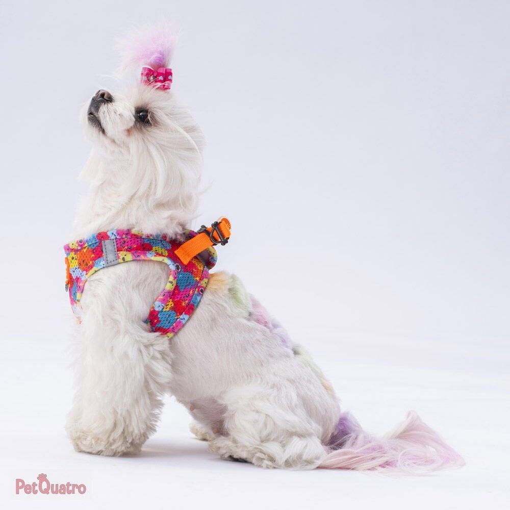 MONSTERS AİR MESH 2XS