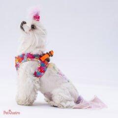 MONSTERS AİR MESH XS