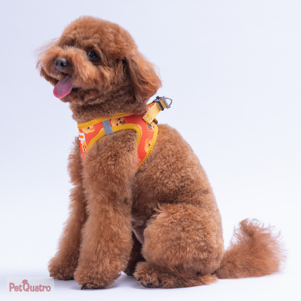 POODLE AİR MESH 2XS
