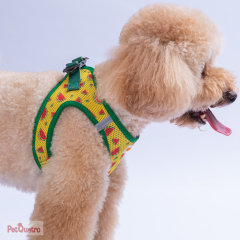 WATERMELON AİR AİR MESH L