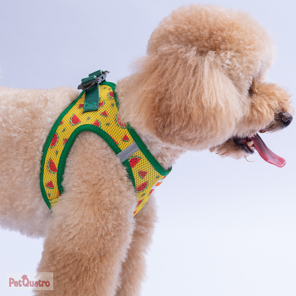 WATERMELON AİR AİR MESH M