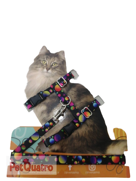 KEDİ GÖĞÜS TASMASI