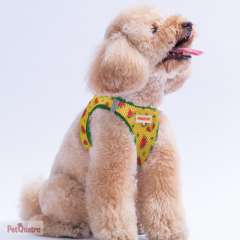 WATERMELON AİR AİR MESH XS