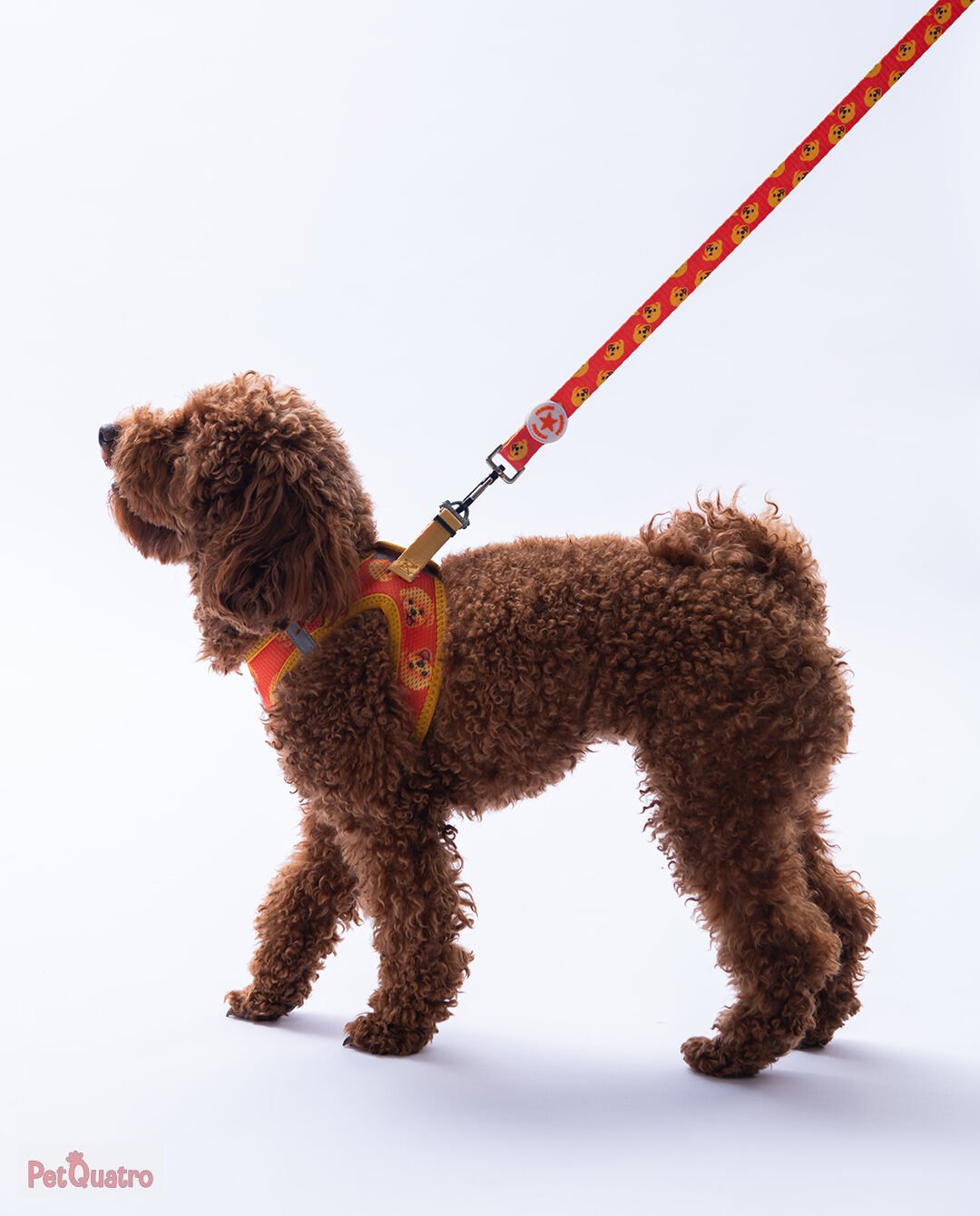 POODLE SEVK KAYIŞI