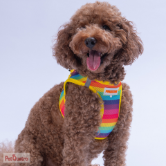 RAİNBOW AİR MESH 2XS